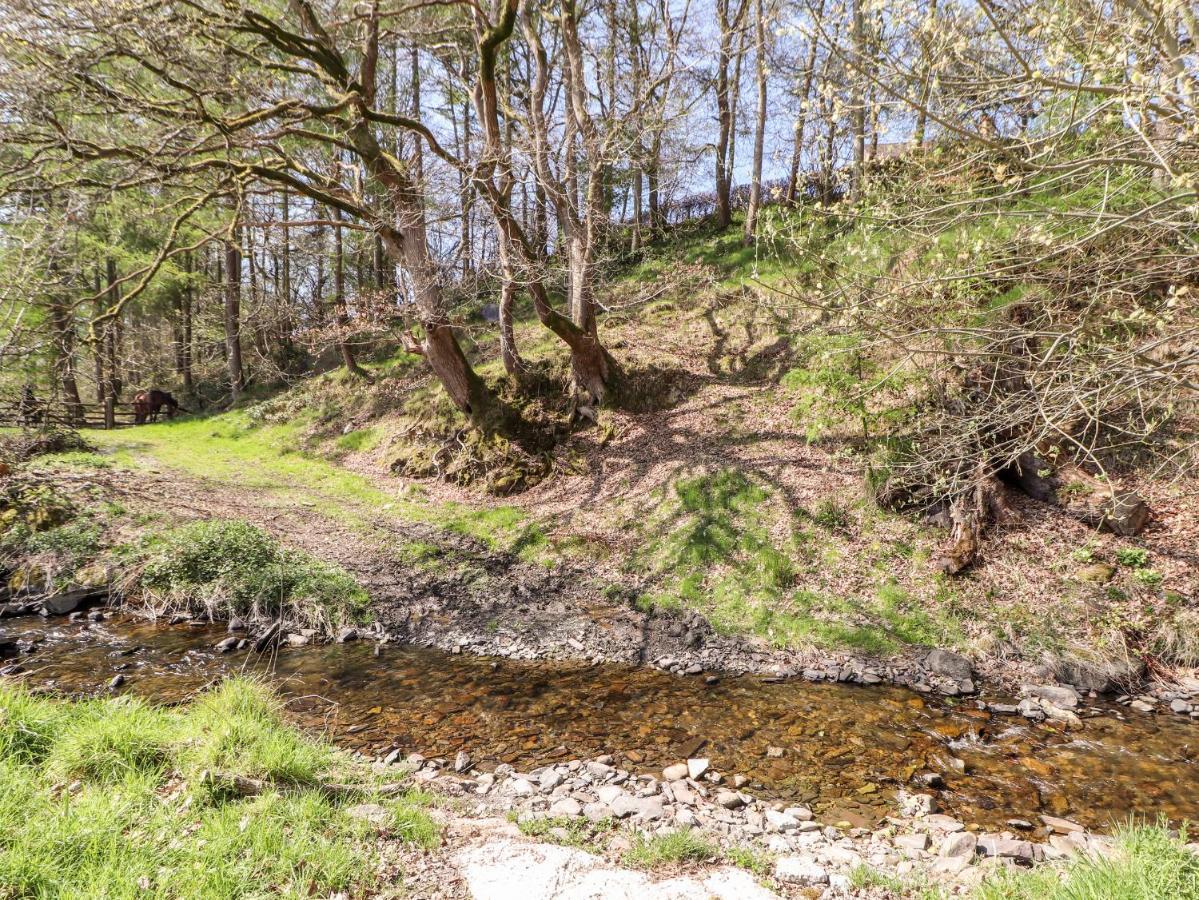 Nant Y Celyn Villa Ruthin Dış mekan fotoğraf